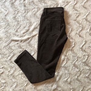 Loft Corduroy Pants